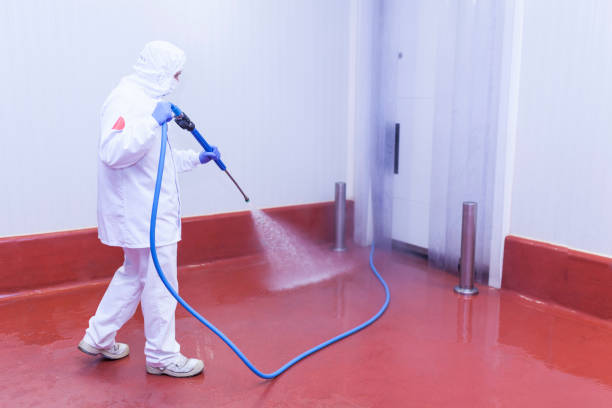 Best Driveway Pressure Washing  in Great Neck Plaza, NY